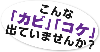こんな「カビ」「コケ」出ていませんか？