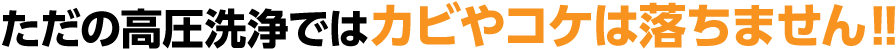 ただの高圧洗浄ではカビやコケは落ちません‼